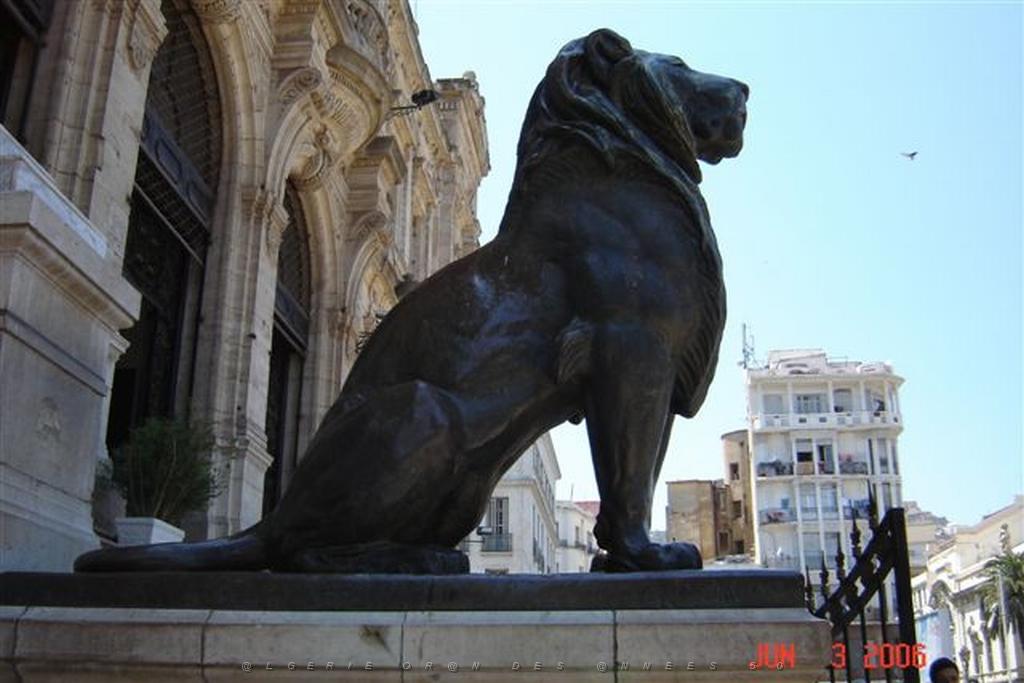 06 2006 ORAN LES LIONS DE LA MAIRIE.jpg